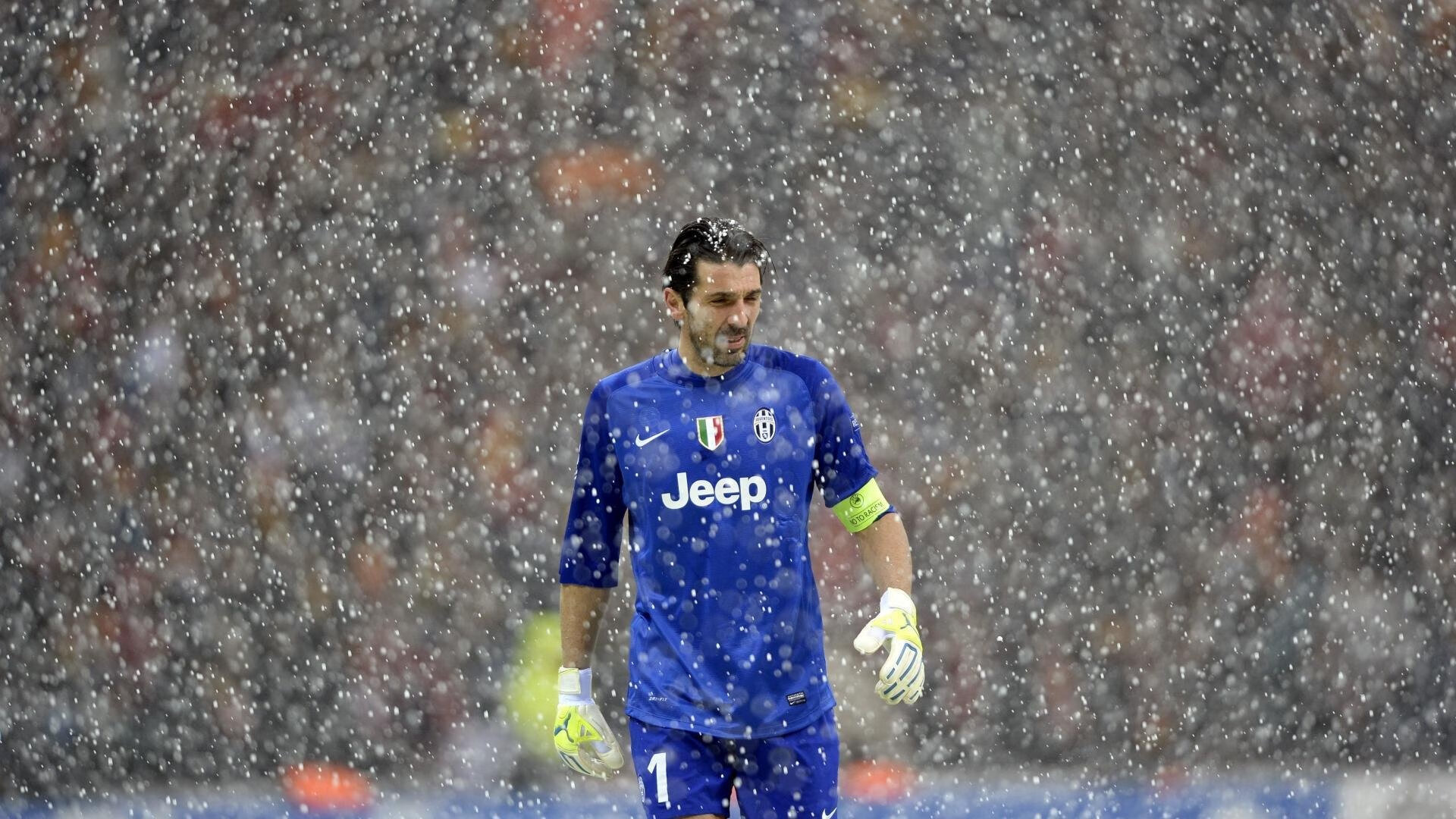 伊利亚·哈伦展现蝶泳技术新高度